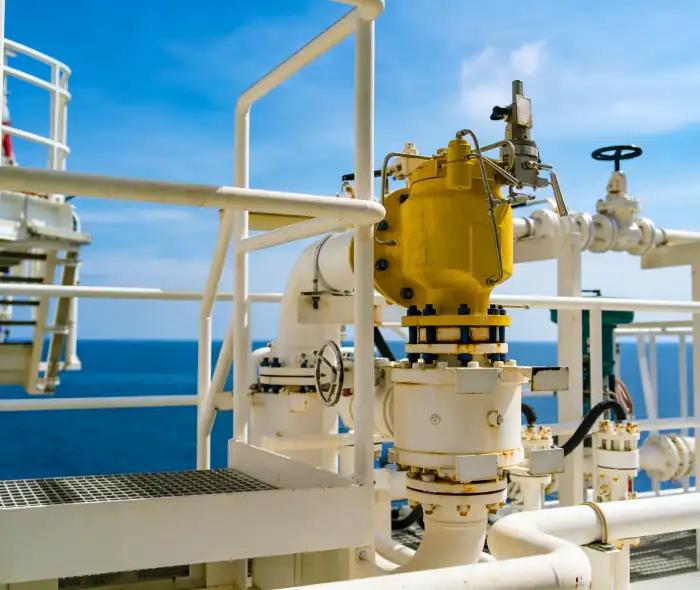 LS Manufacturing × Offshore Platform Enterprise : Livraison en vrac de ressorts de soupape résistants à la corrosion